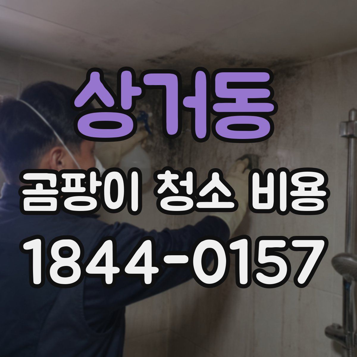 상거동 곰팡이 청소 비용