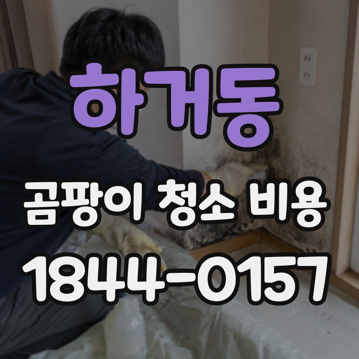 하거동 곰팡이 청소 비용