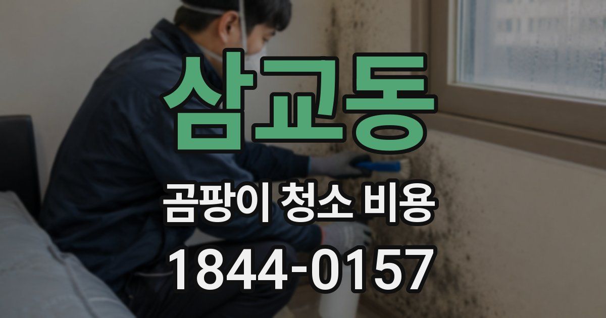 삼교동 곰팡이 청소 비용