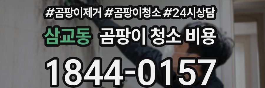 삼교동 곰팡이 청소 비용