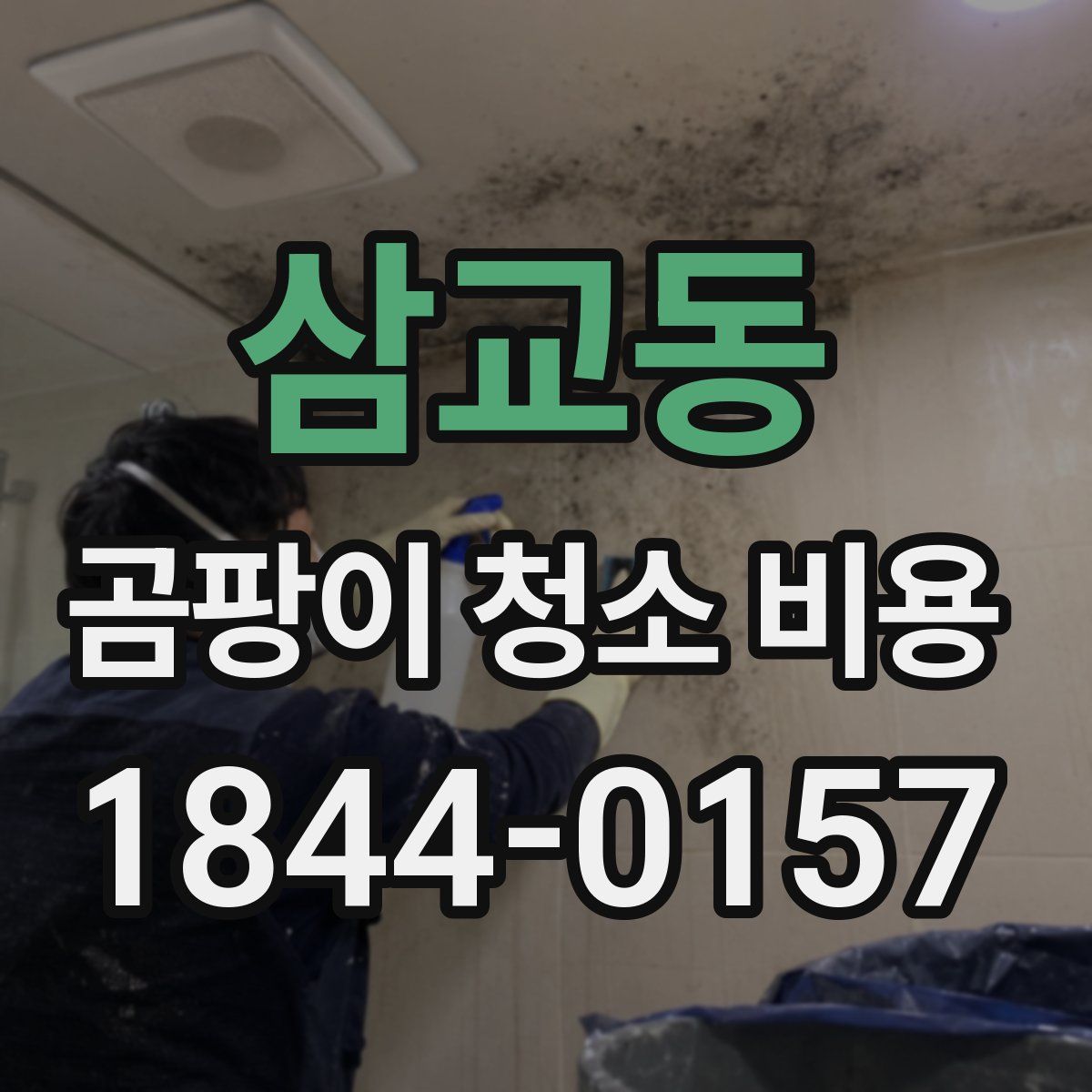 삼교동 곰팡이 청소 비용