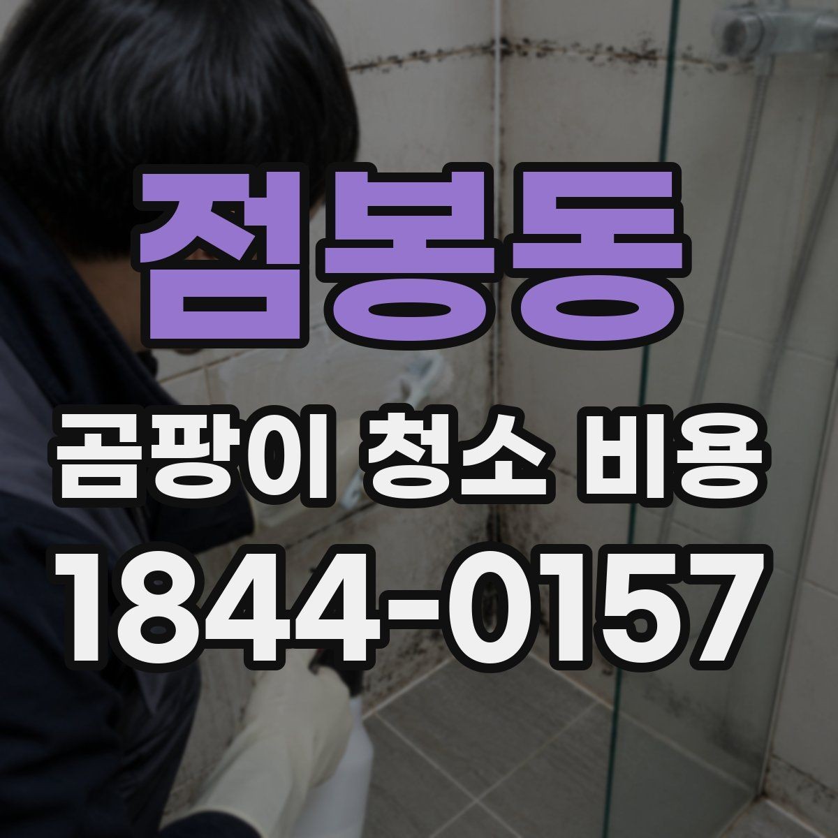 점봉동 곰팡이 청소 비용 약품 처리와 마감 청소가 포함되는지 확인
