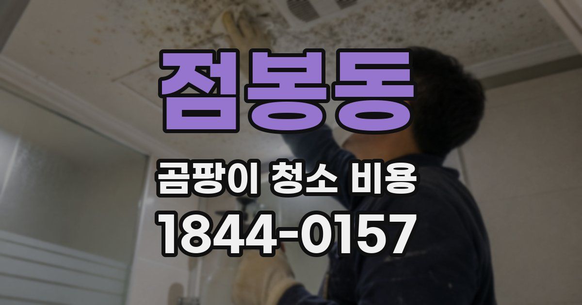 점봉동 곰팡이 청소 비용