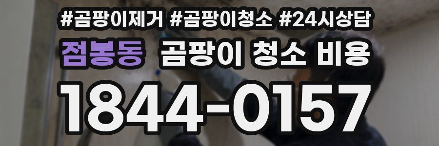점봉동 곰팡이 청소 비용