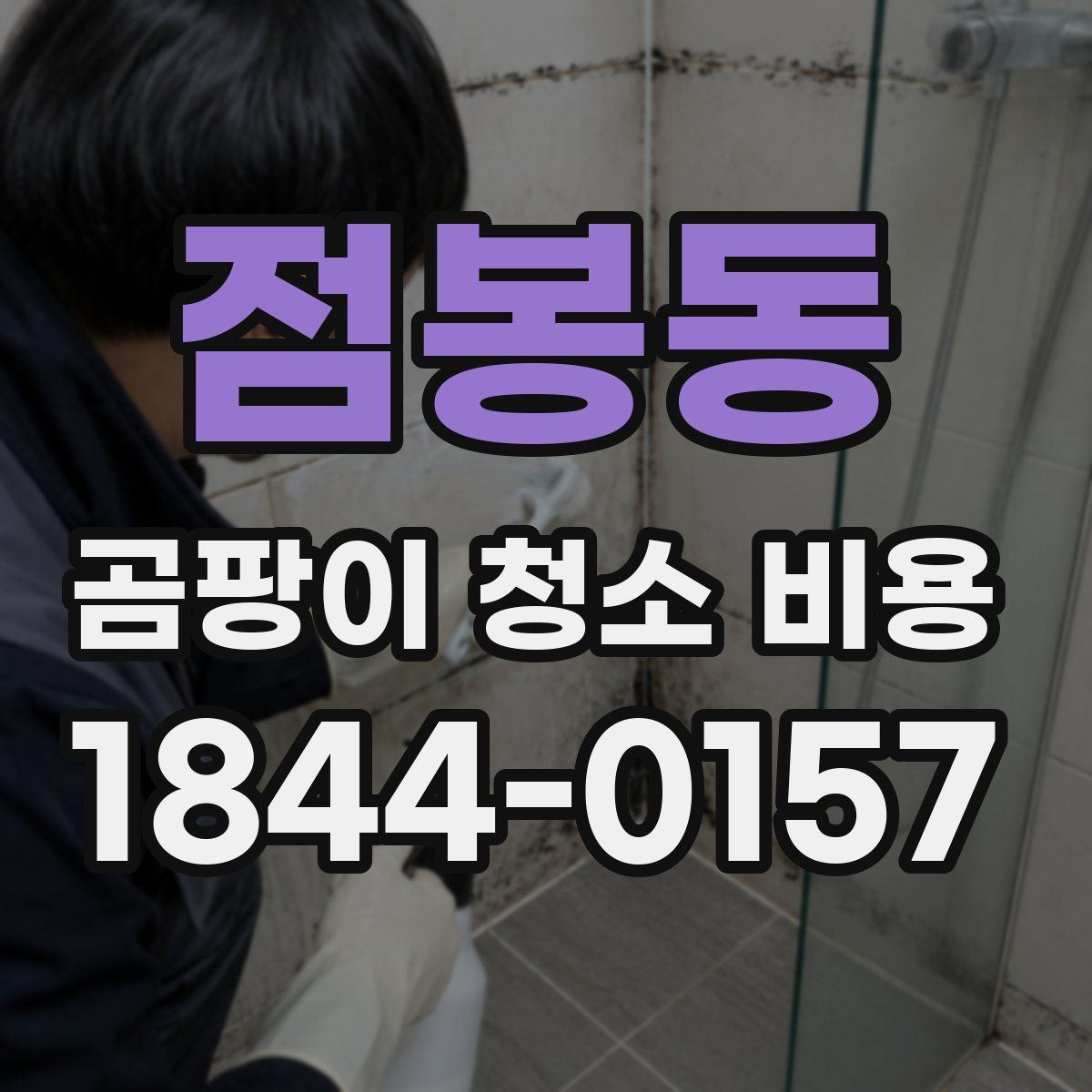 점봉동 곰팡이 청소 비용