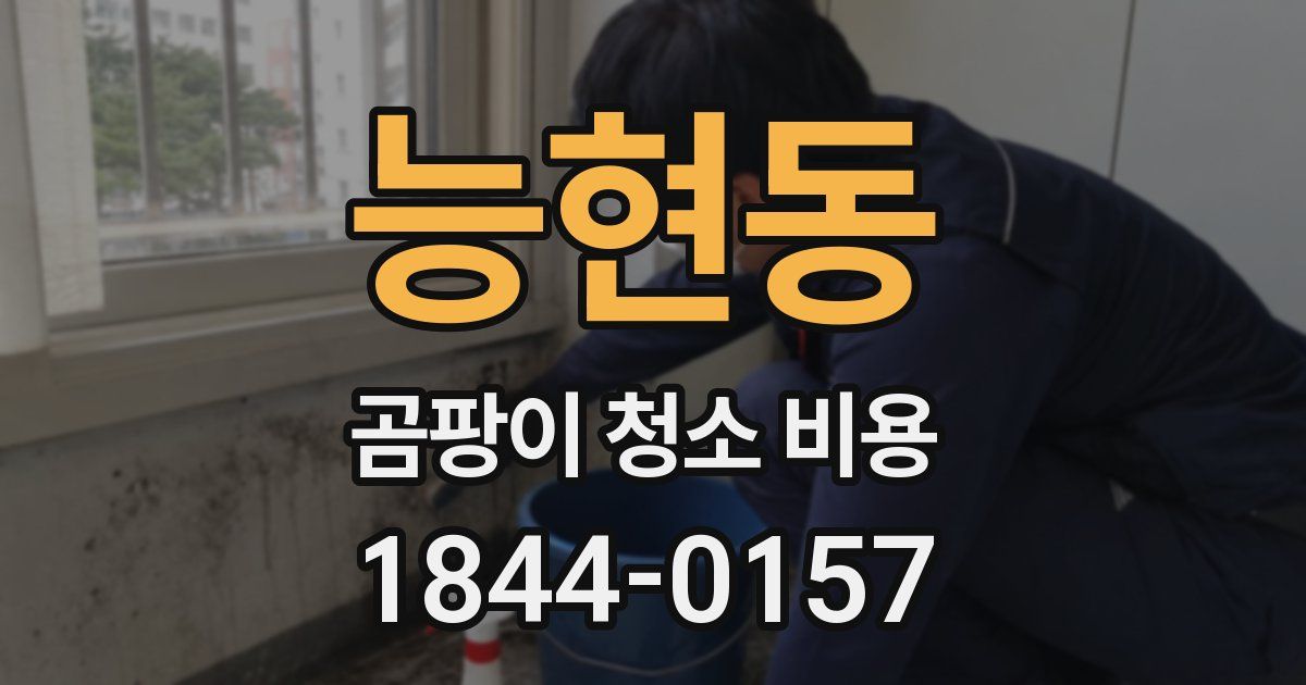 능현동 곰팡이 청소 비용