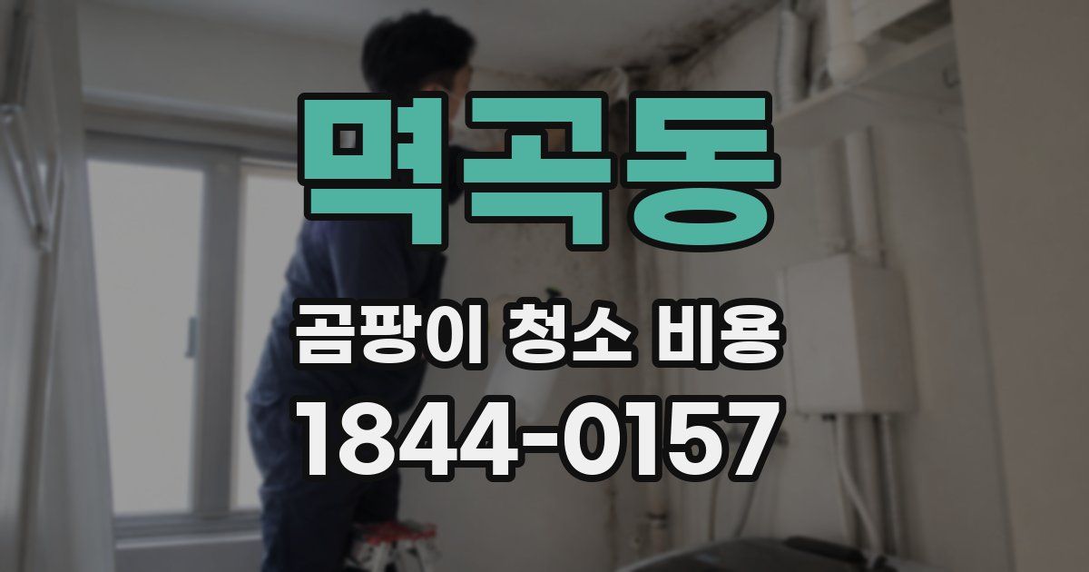 멱곡동 곰팡이 청소 비용