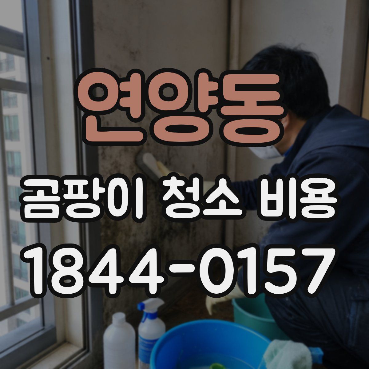 연양동 곰팡이 청소 비용