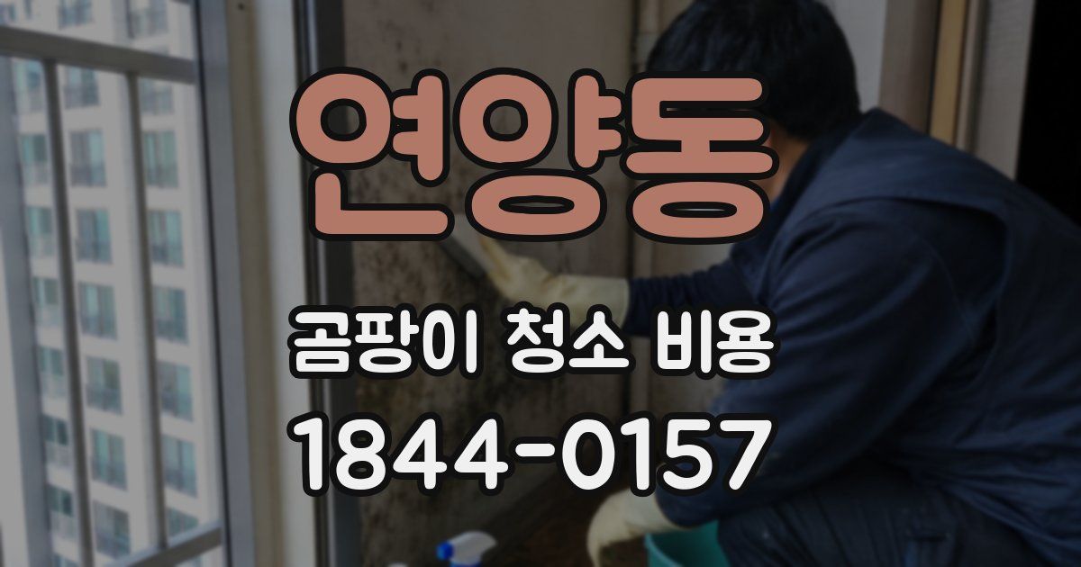 연양동 곰팡이 청소 비용