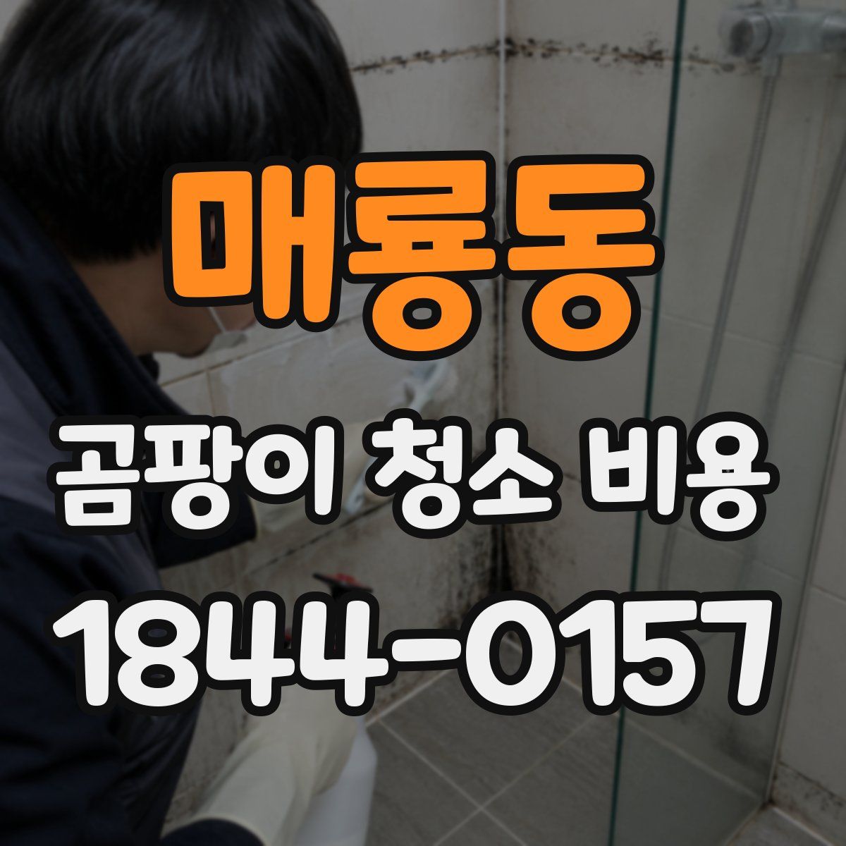 매룡동 곰팡이 청소 비용