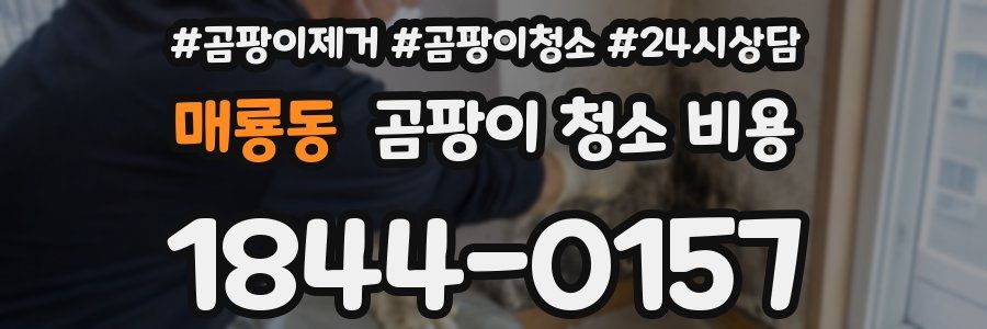 매룡동 곰팡이 청소 비용