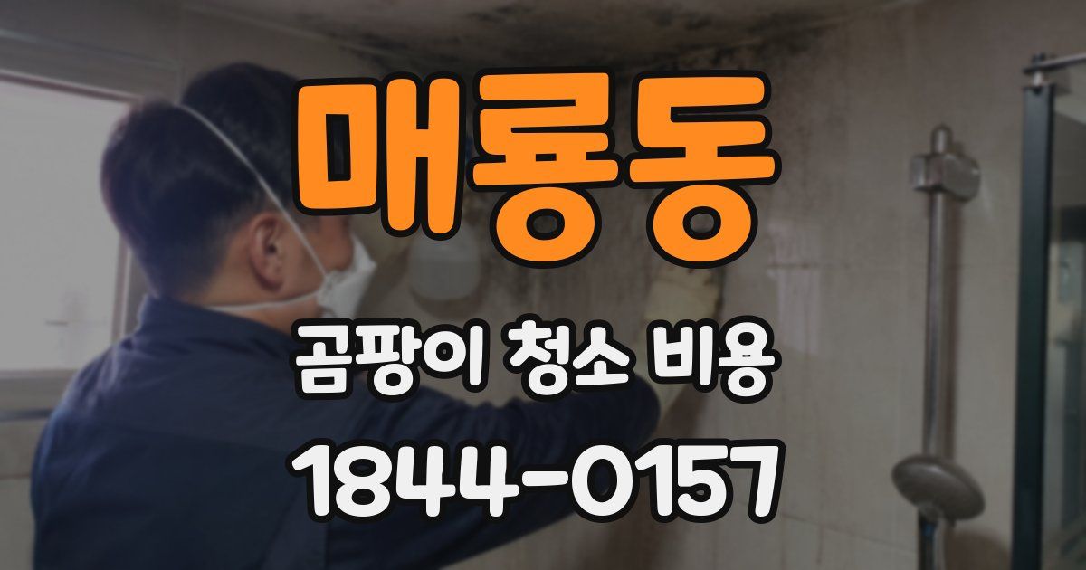 매룡동 곰팡이 청소 비용