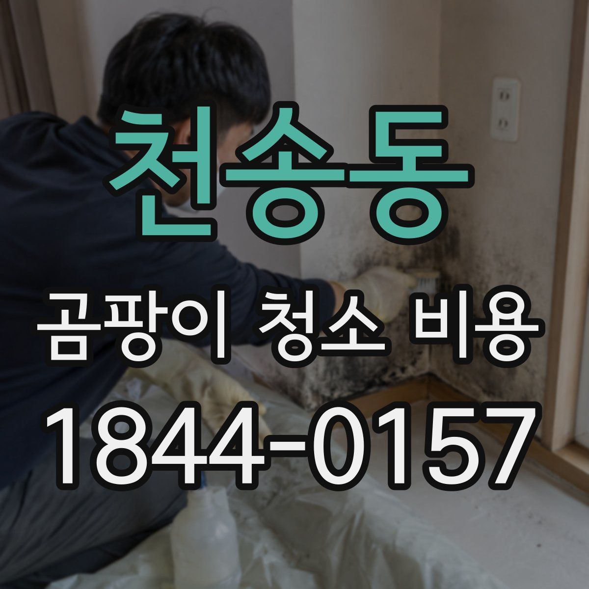 천송동 곰팡이 청소 비용