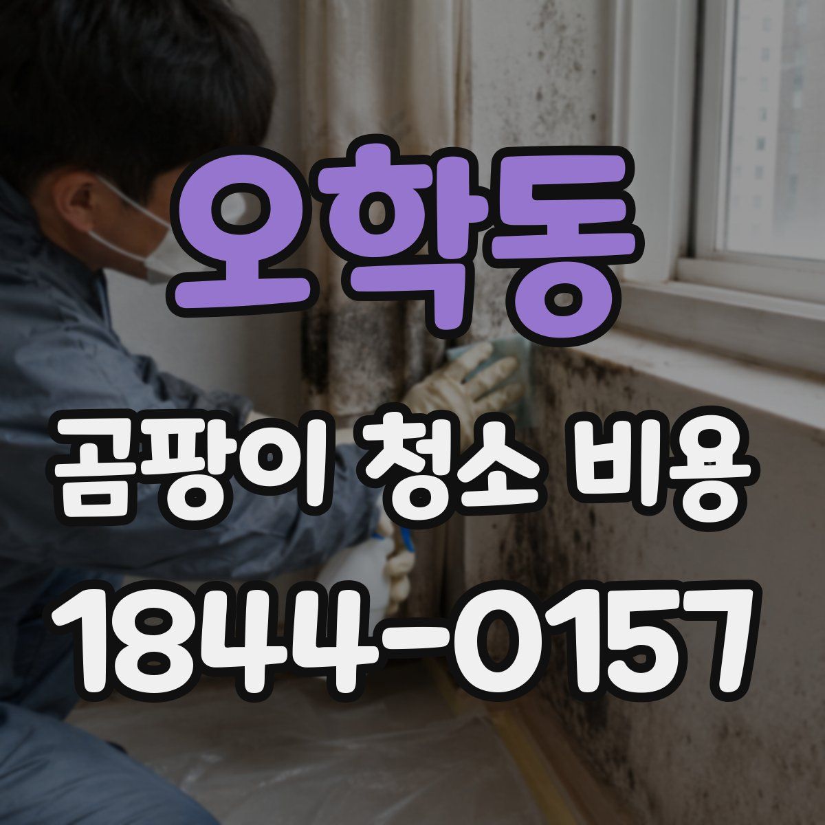 오학동 곰팡이 청소 비용