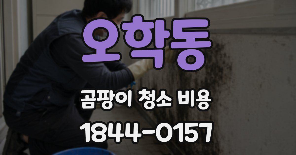 오학동 곰팡이 청소 비용