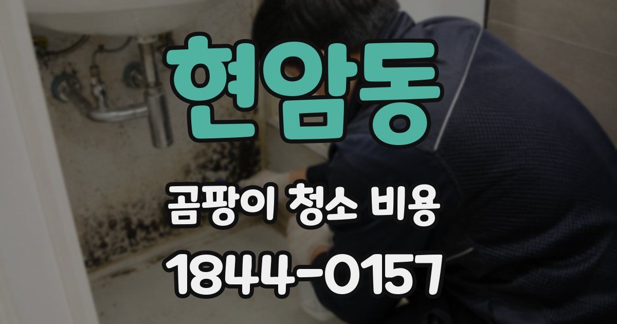 현암동 곰팡이 청소 비용