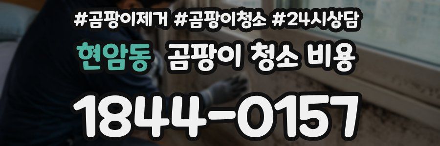 현암동 곰팡이 청소 비용