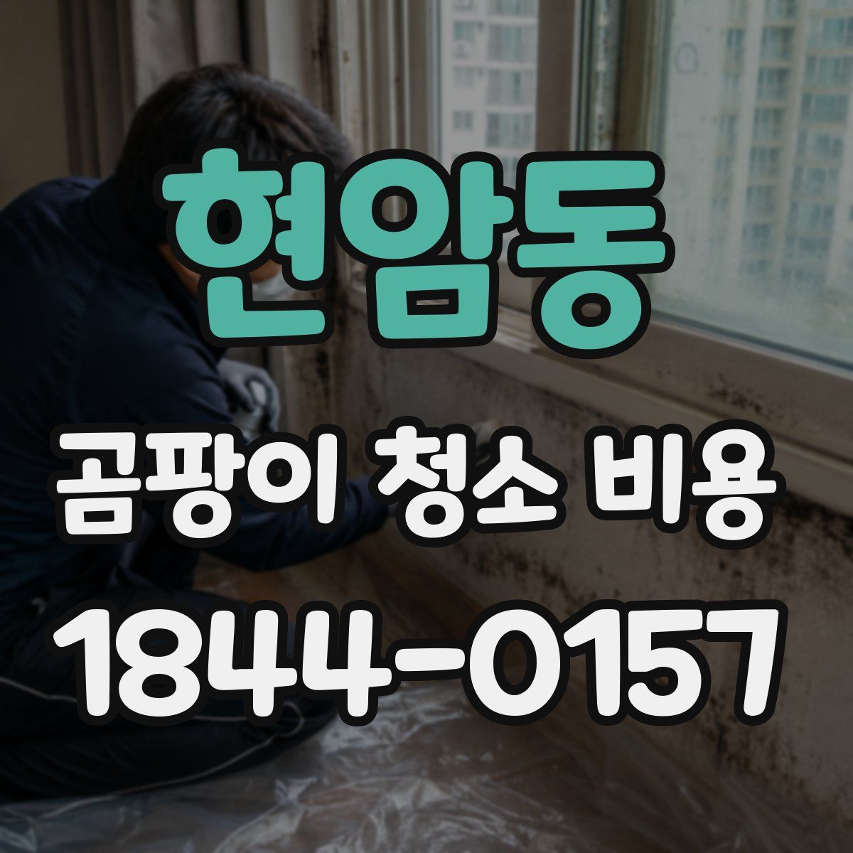 현암동 곰팡이 청소 비용