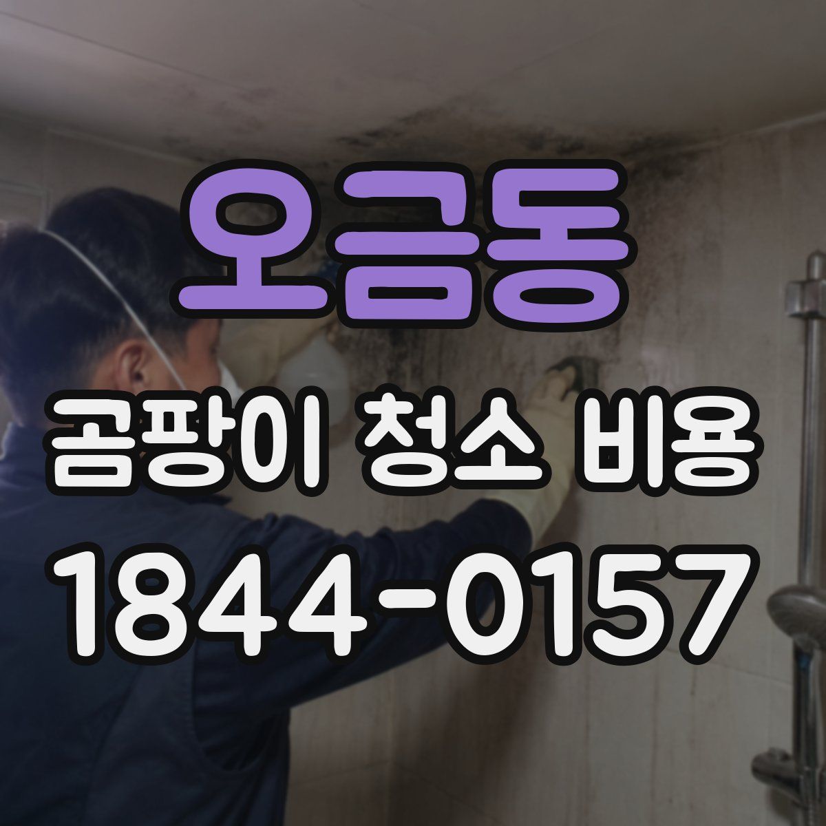 오금동 곰팡이 청소 비용
