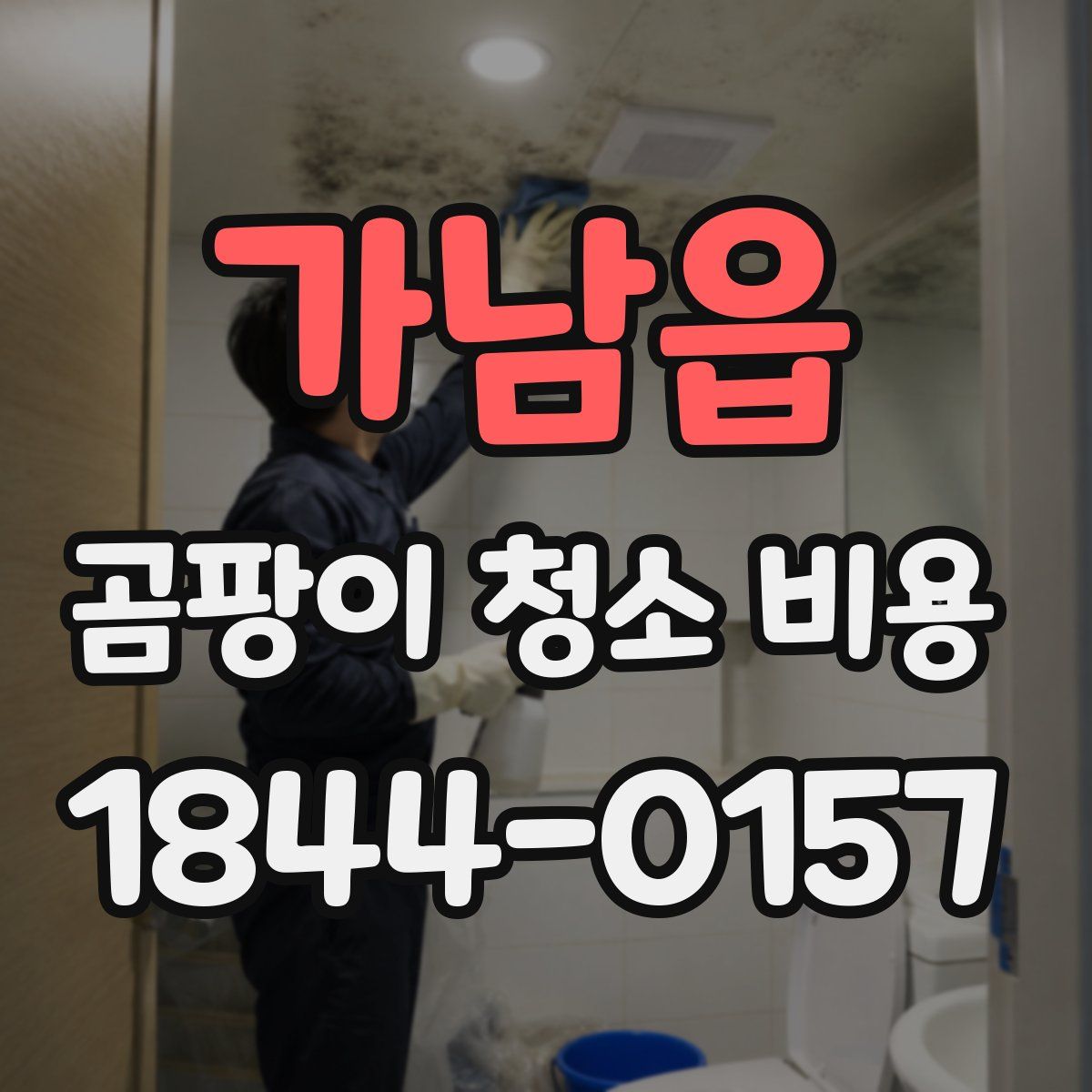 가남읍 곰팡이 청소 비용