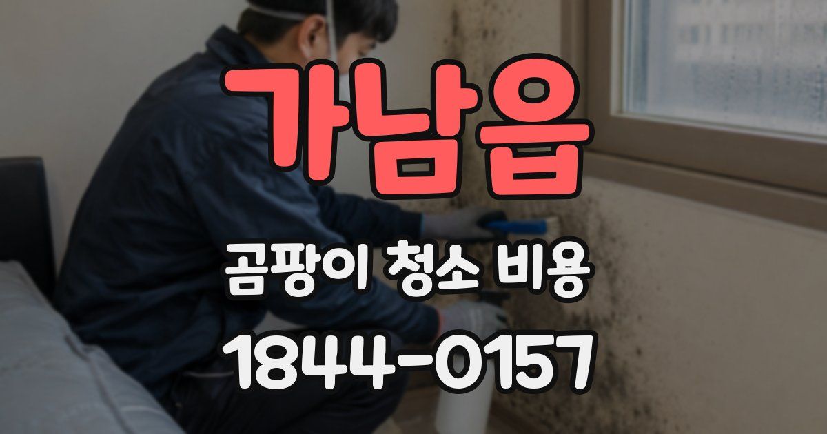 가남읍 곰팡이 청소 비용