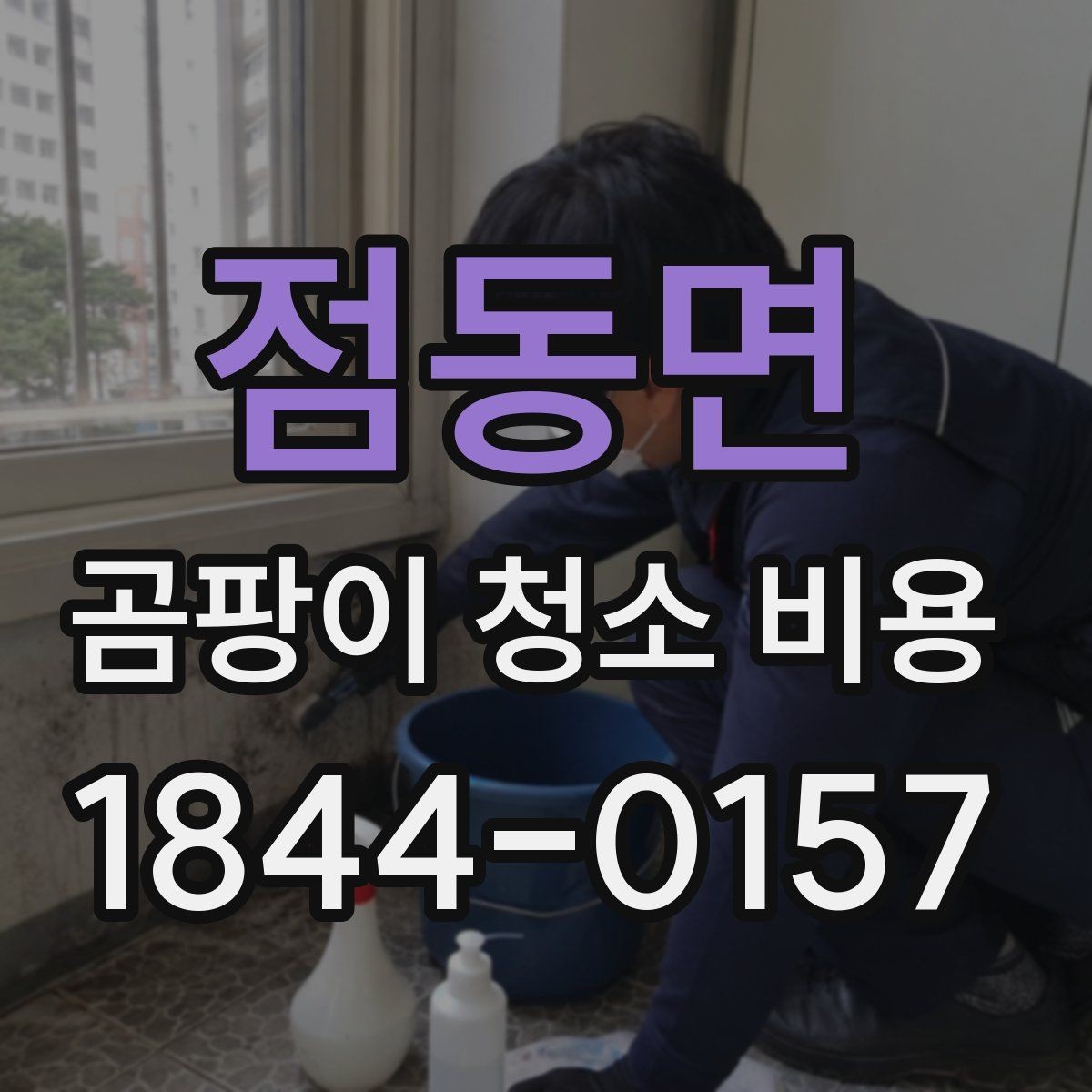 점동면 곰팡이 청소 비용 세입자와 집주인 사이 비용 분담을 볼 때