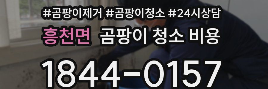 흥천면 곰팡이 청소 비용