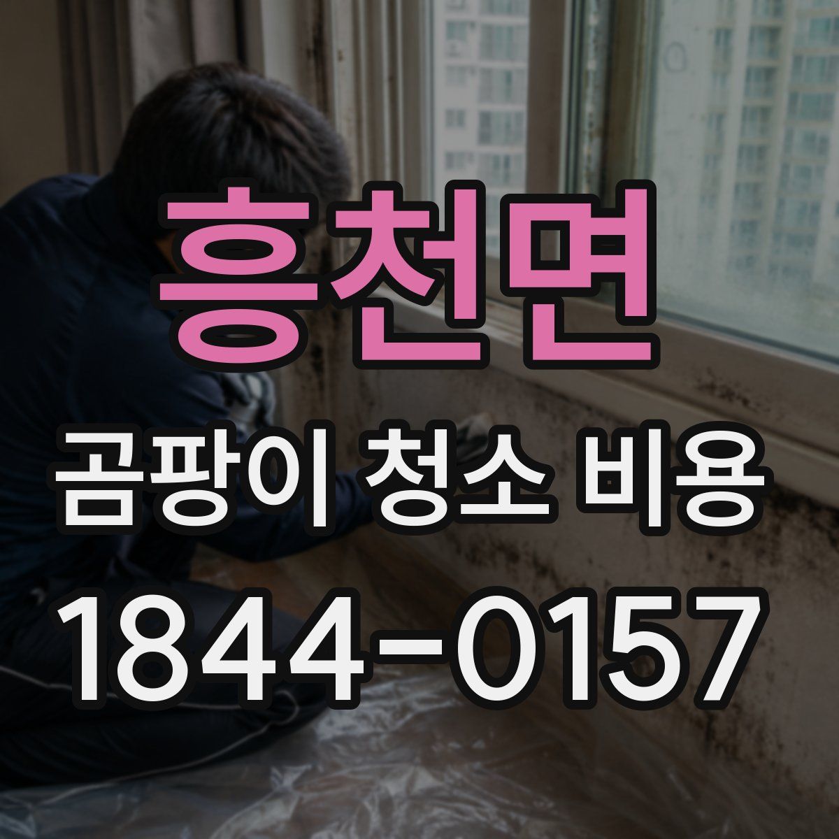 흥천면 곰팡이 청소 비용