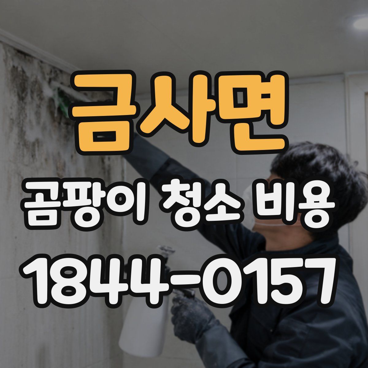 금사면 곰팡이 청소 비용