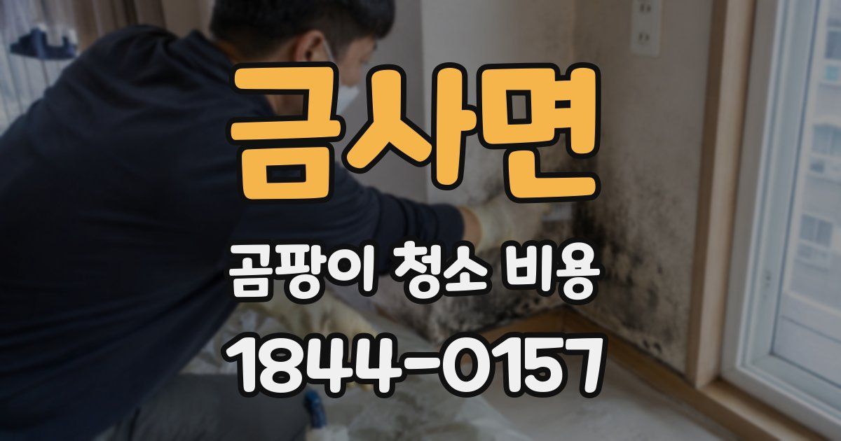 금사면 곰팡이 청소 비용