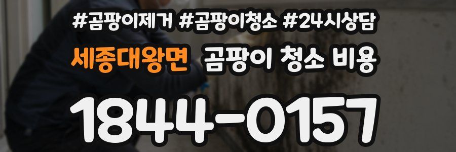 세종대왕면 곰팡이 청소 비용