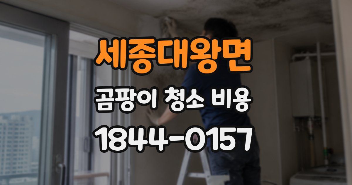 세종대왕면 곰팡이 청소 비용