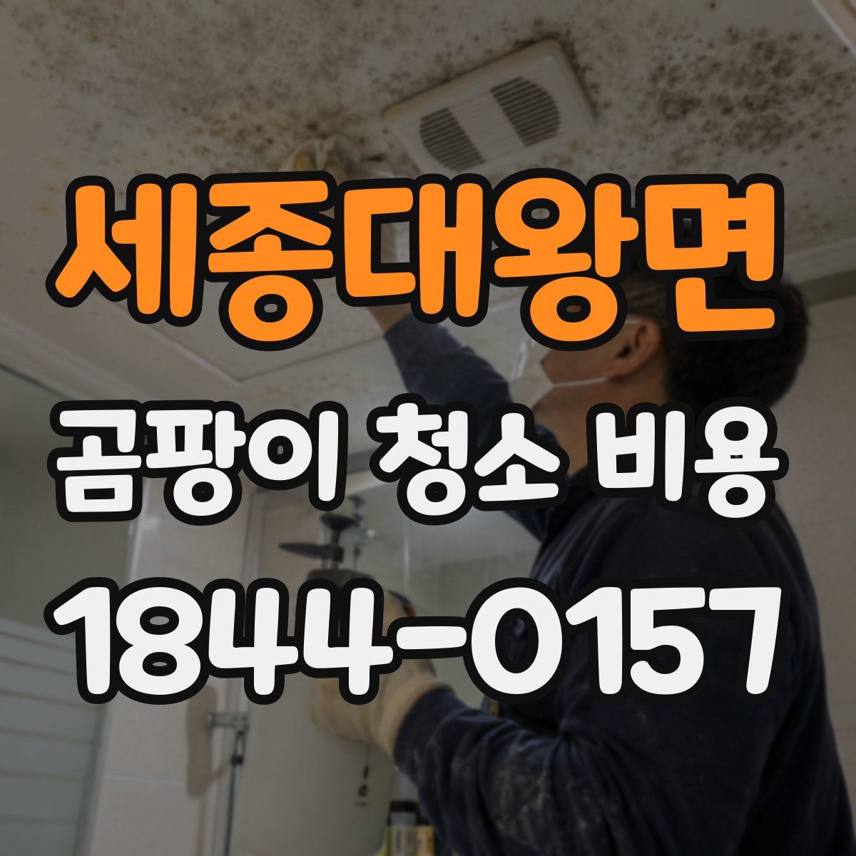 세종대왕면 곰팡이 청소 비용