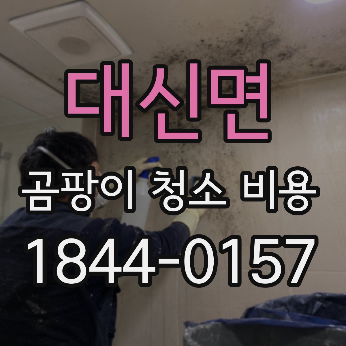 대신면 곰팡이 청소 비용