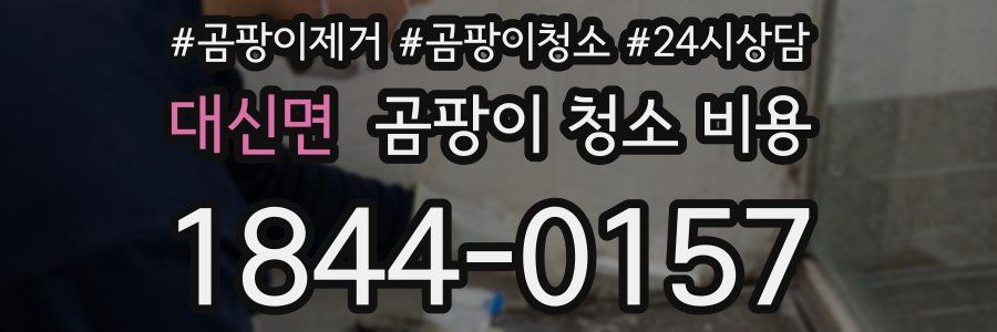 대신면 곰팡이 청소 비용