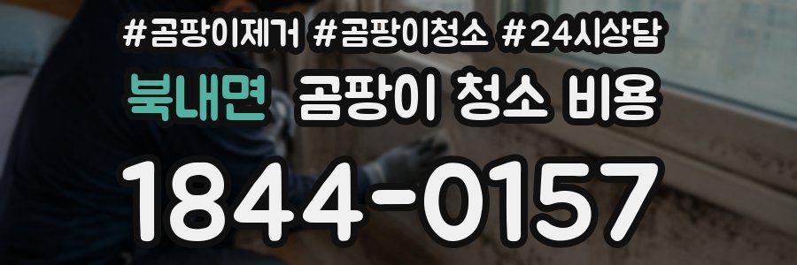 북내면 곰팡이 청소 비용