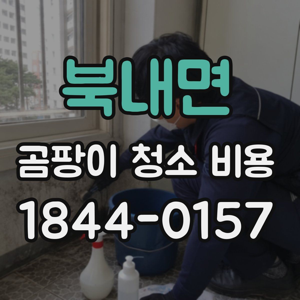북내면 곰팡이 청소 비용