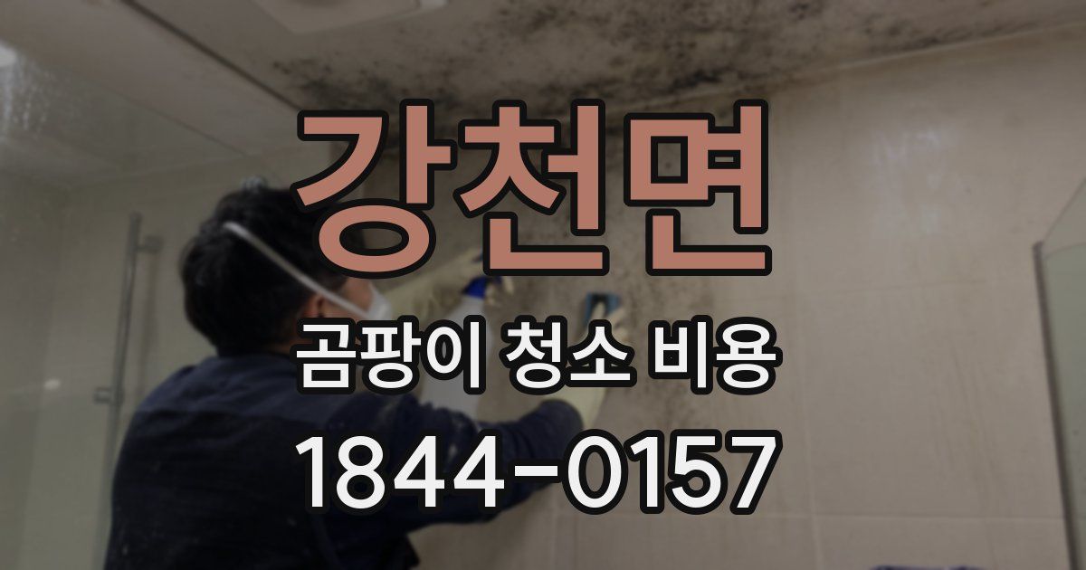 강천면 곰팡이 청소 비용