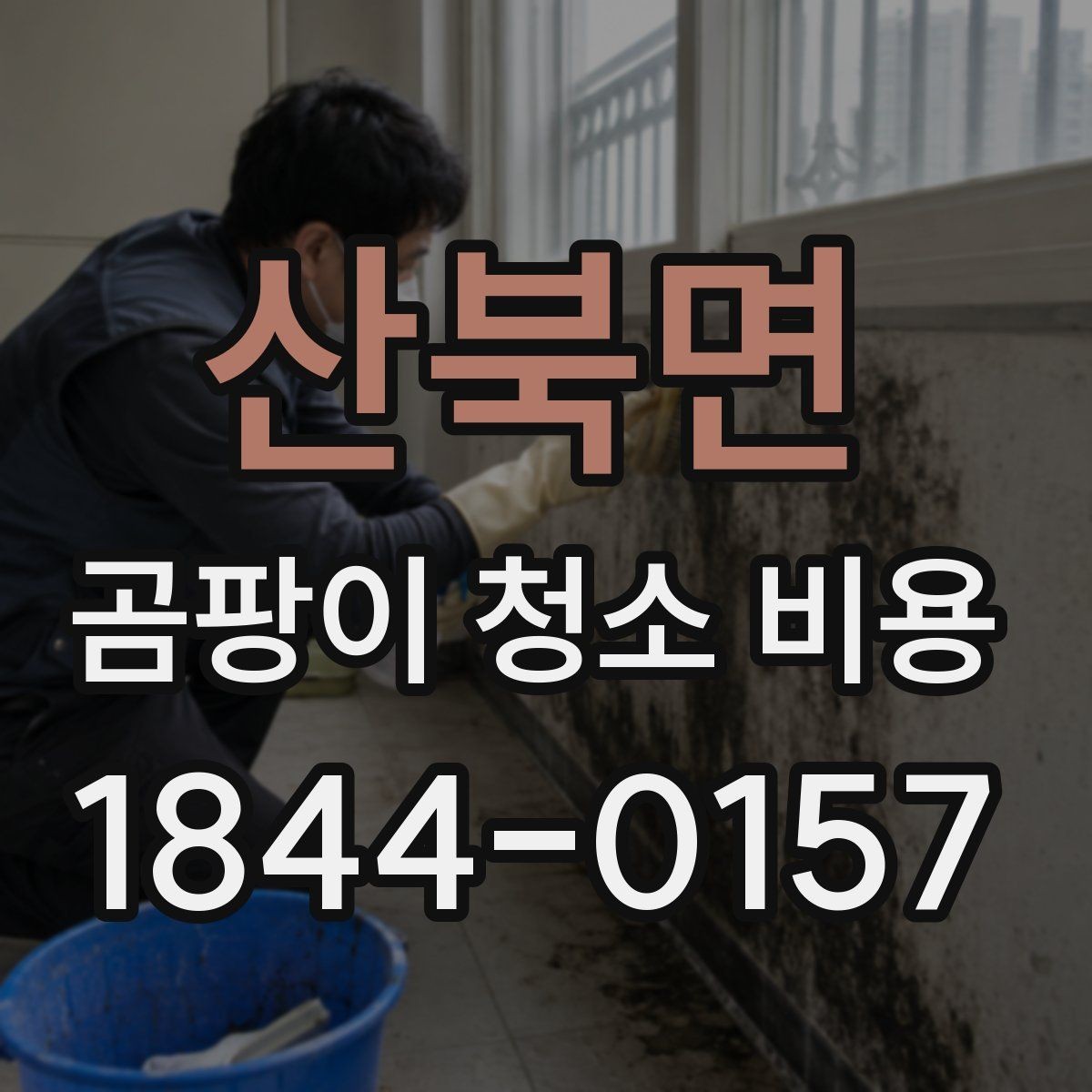 산북면 곰팡이 청소 비용 욕실 실리콘 곰팡이가 잘 생기는 환경