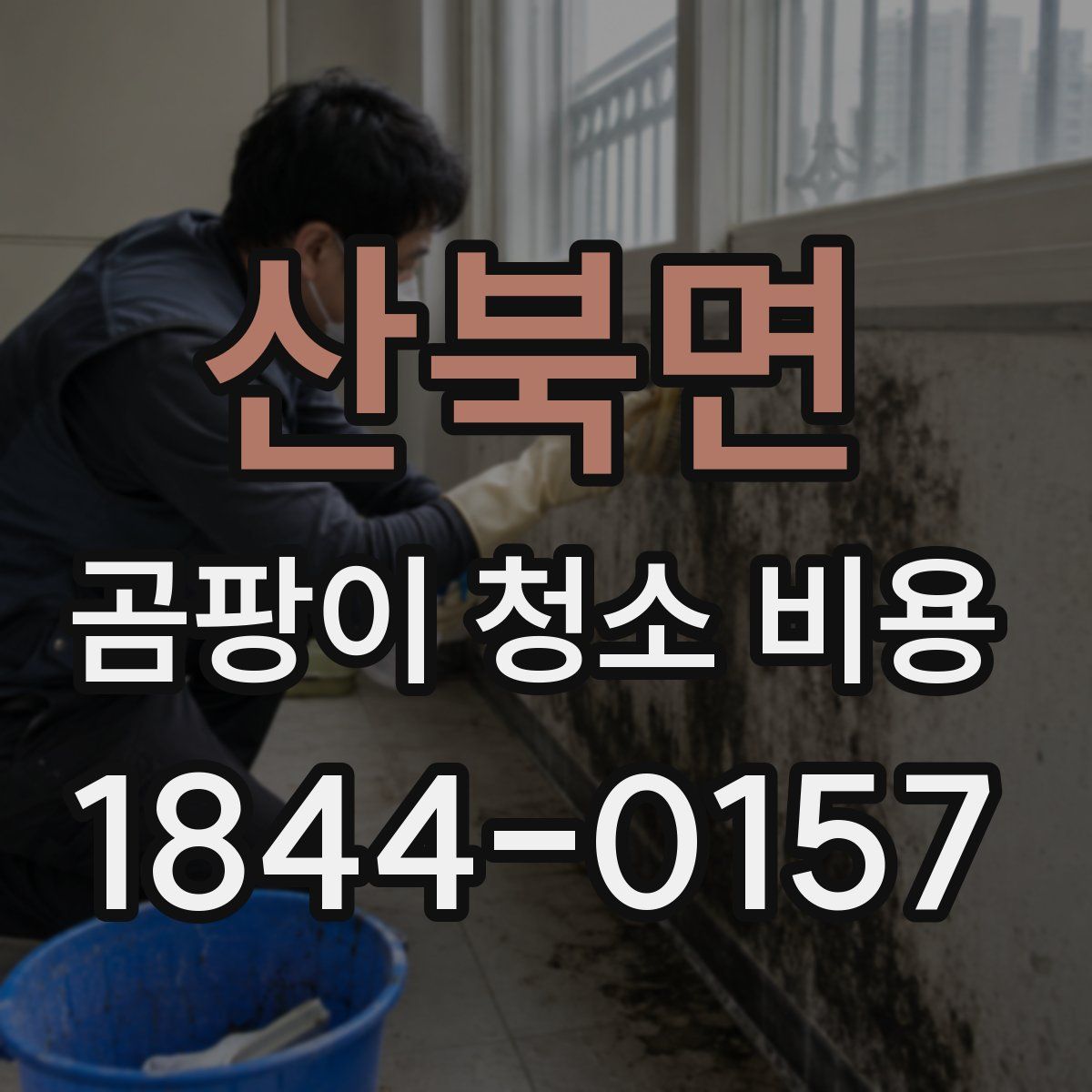 산북면 곰팡이 청소 비용