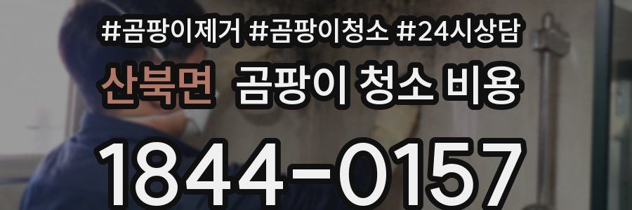 산북면 곰팡이 청소 비용