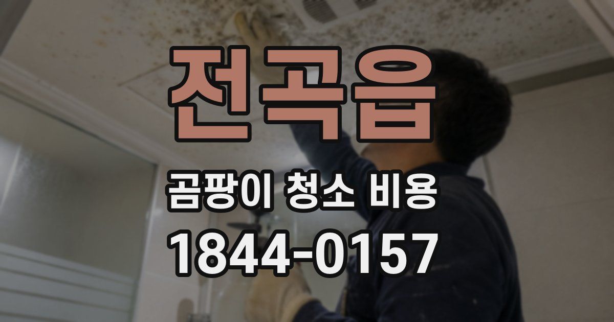 전곡읍 곰팡이 청소 비용