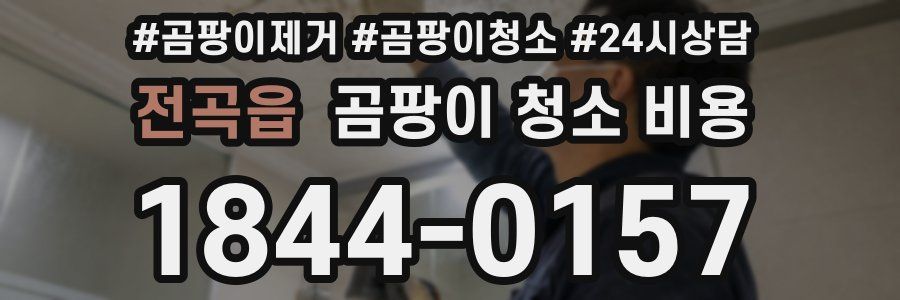 전곡읍 곰팡이 청소 비용