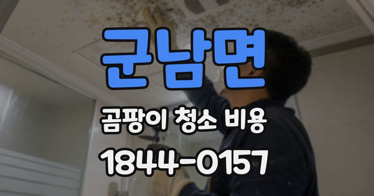군남면 곰팡이 청소 비용