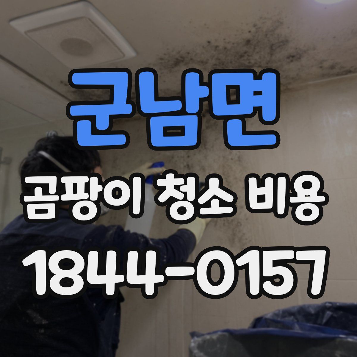 군남면 곰팡이 청소 비용