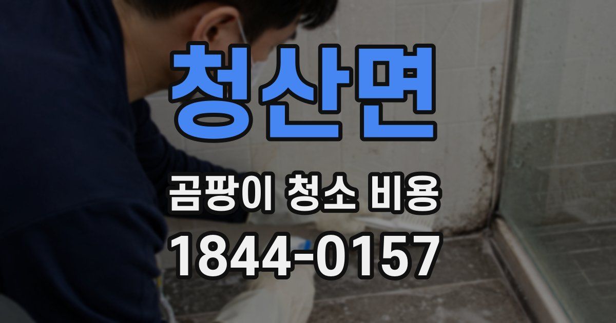 청산면 곰팡이 청소 비용