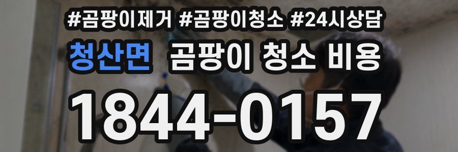 청산면 곰팡이 청소 비용