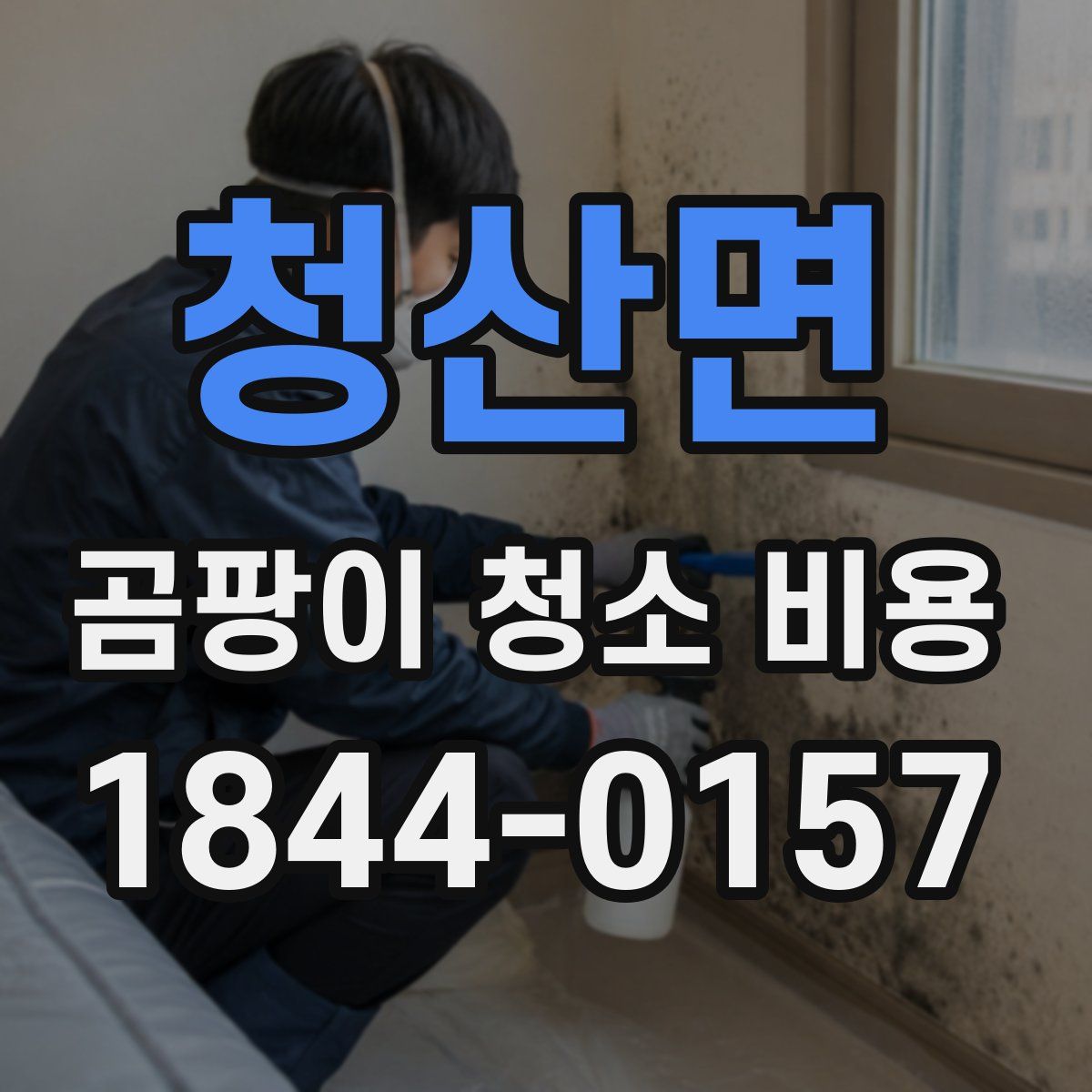 청산면 곰팡이 청소 비용