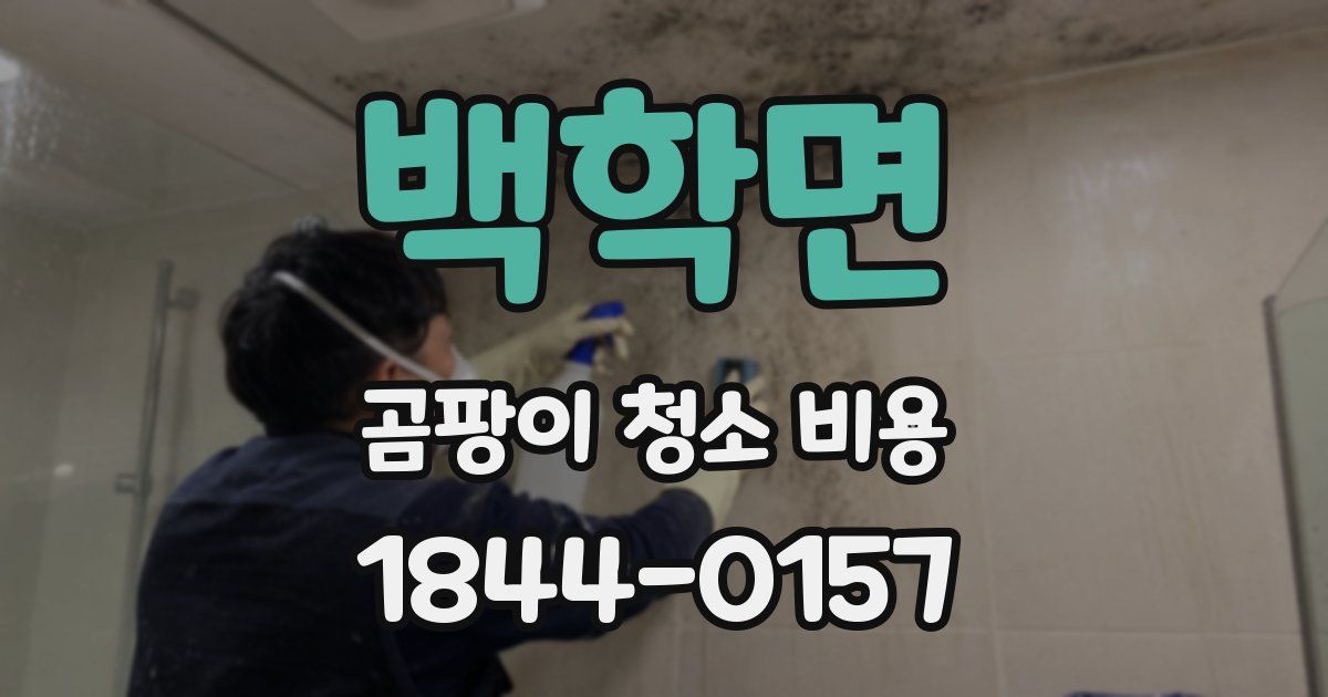 백학면 곰팡이 청소 비용