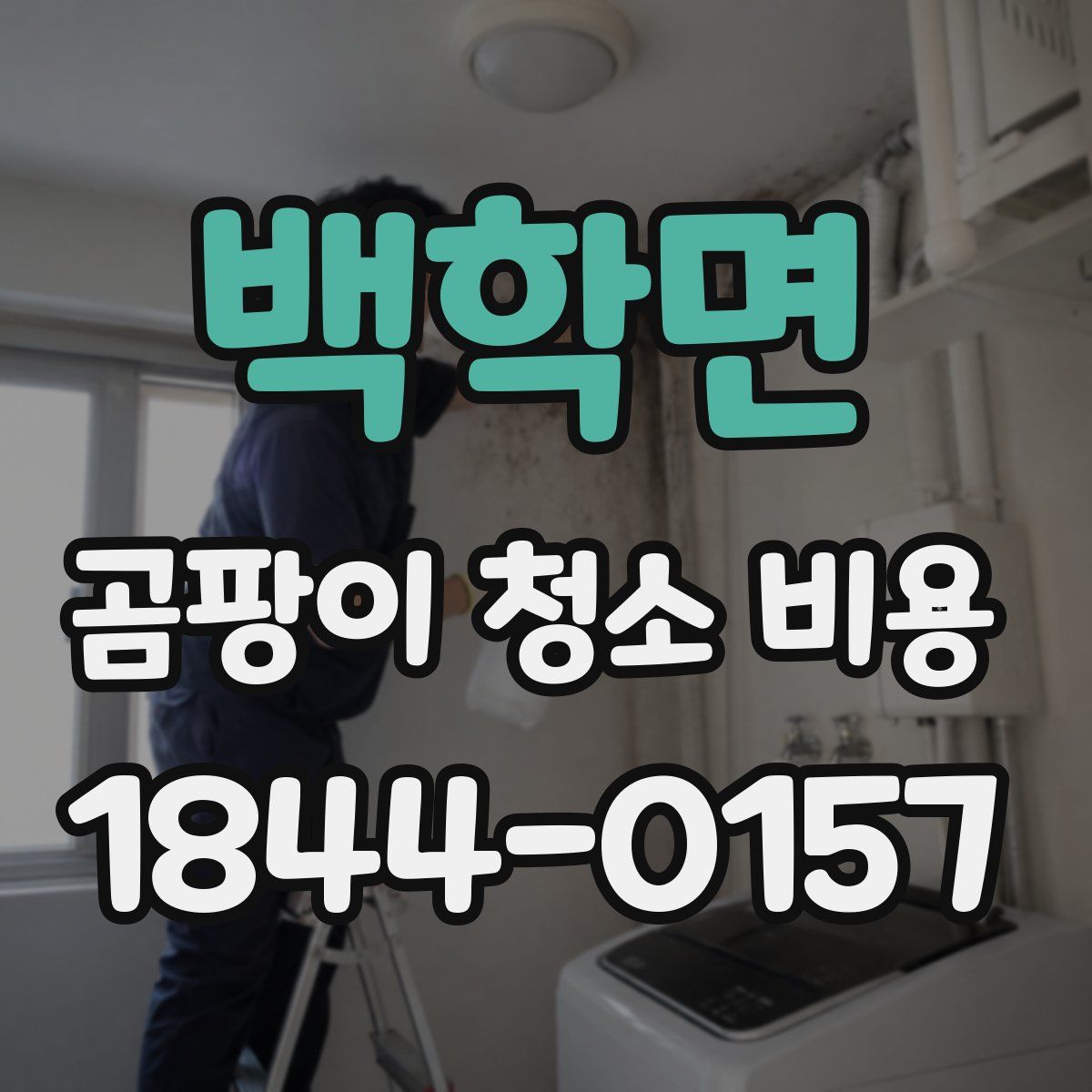 백학면 곰팡이 청소 비용
